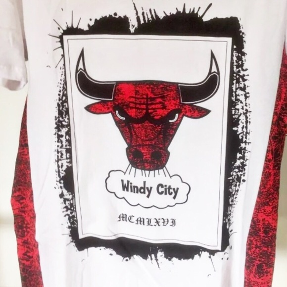 Mens Rue 21 Chicago Bulls Windy City NBA Collab Short Sleeve T Shirt Size Small - Picture 2 of 7